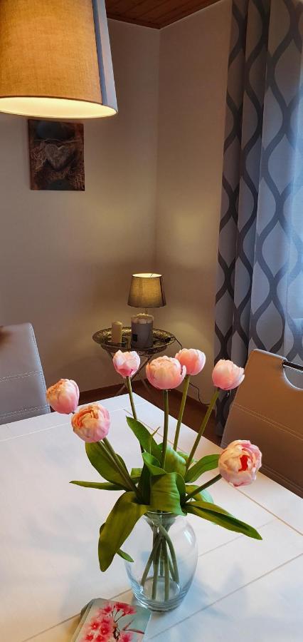 Moderne Ferienwohnung Mit Eigenem Garten Und Traumhaften Blick Wilhelmsthal Extérieur photo